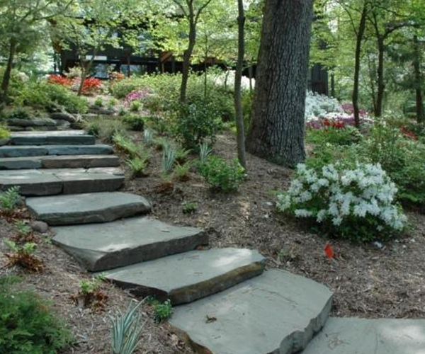 Rugged stone steps in a landscape