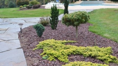 Decorative crushed stone next to lawn and stone walkway