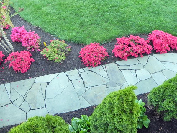 Thin stone veneer pavers on pathway alongside a yard and flowers