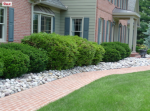 Landscaping rocks along a pathway in front of a house