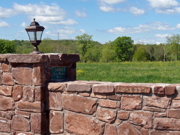 Red stone paved wall overlooking natural overgrown lot