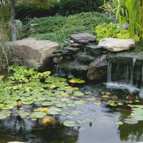 Stones in pond with waterfall
